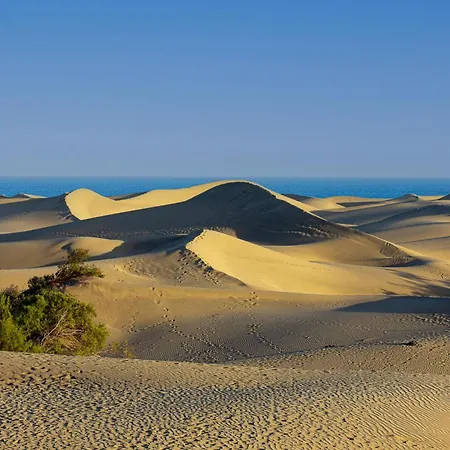 Cozy Yumbo Center Apartment Maspalomas (Gran Canaria)