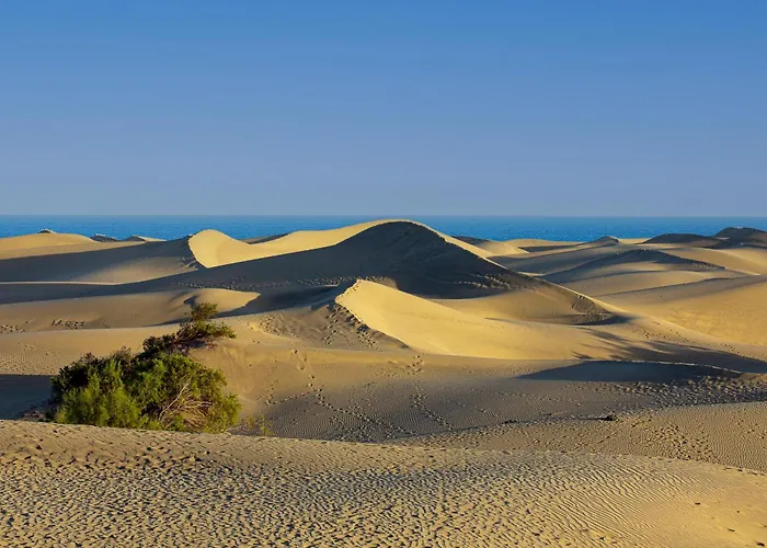 Cozy Yumbo Center アパート マスパロマス